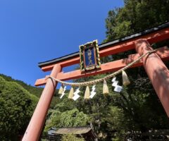 サクッと行っちゃった⛩