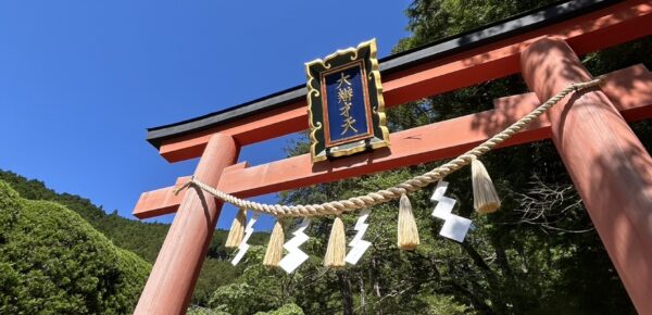 サクッと行っちゃった⛩