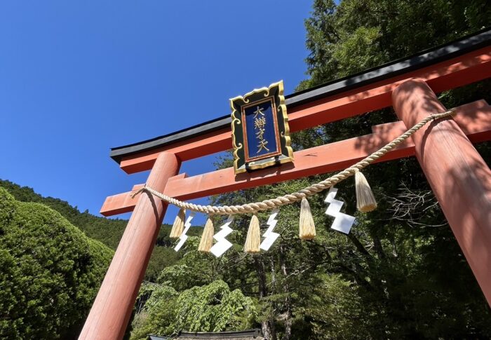 サクッと行っちゃった⛩